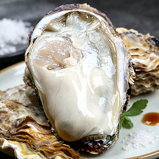 Fresh Raw Oysters Gourmet Seafood Delight