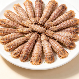 Premium Dried Sea Prawns Seafood Delight
